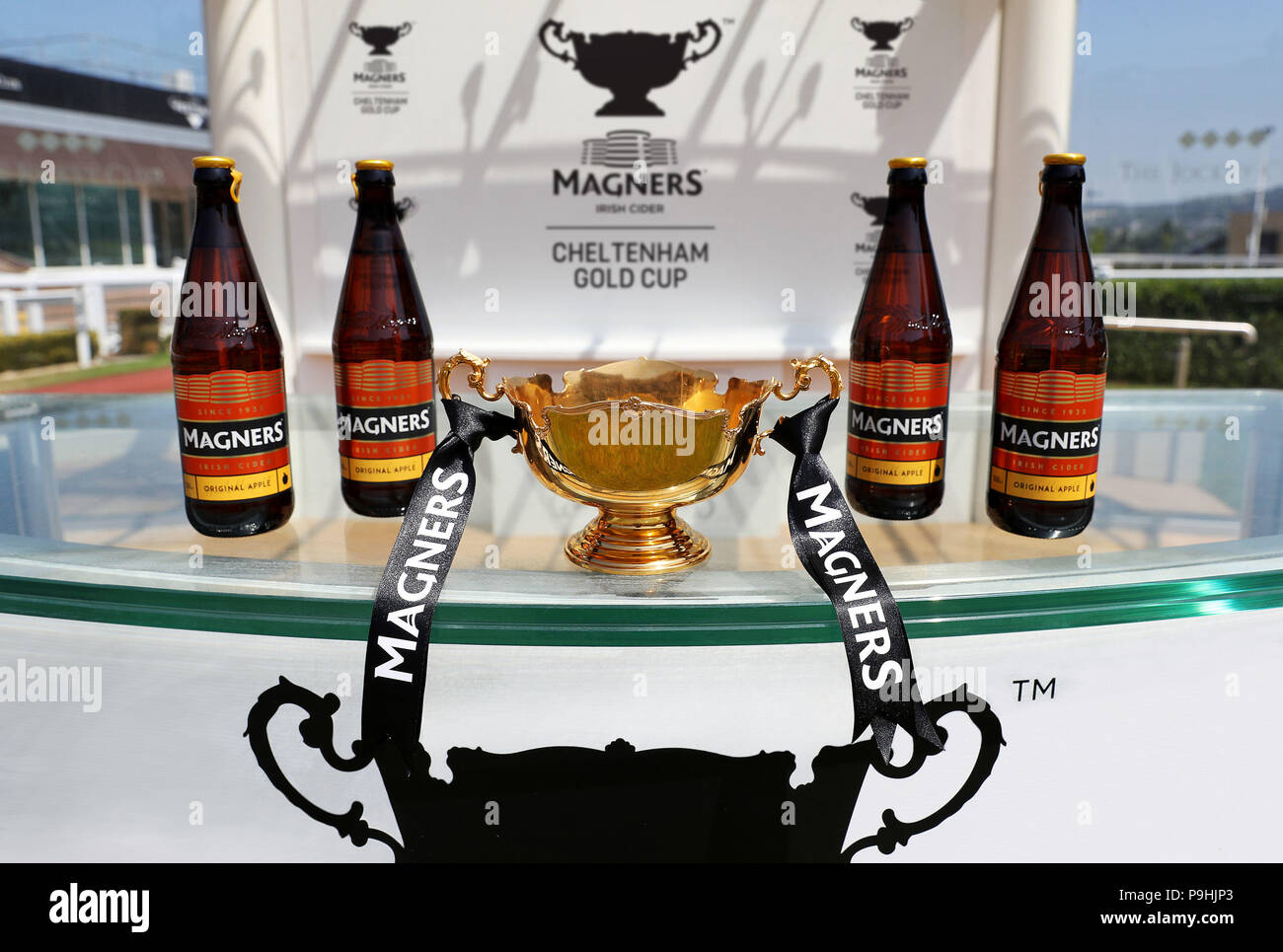 Una vista general de la Cheltenham Gold Cup. Sidra irlandesa Magners ha  presentado hoy, 18 de julio de 2018, se dio a conocer como el patrocinador  exclusivo de la más prestigiosa carrera
