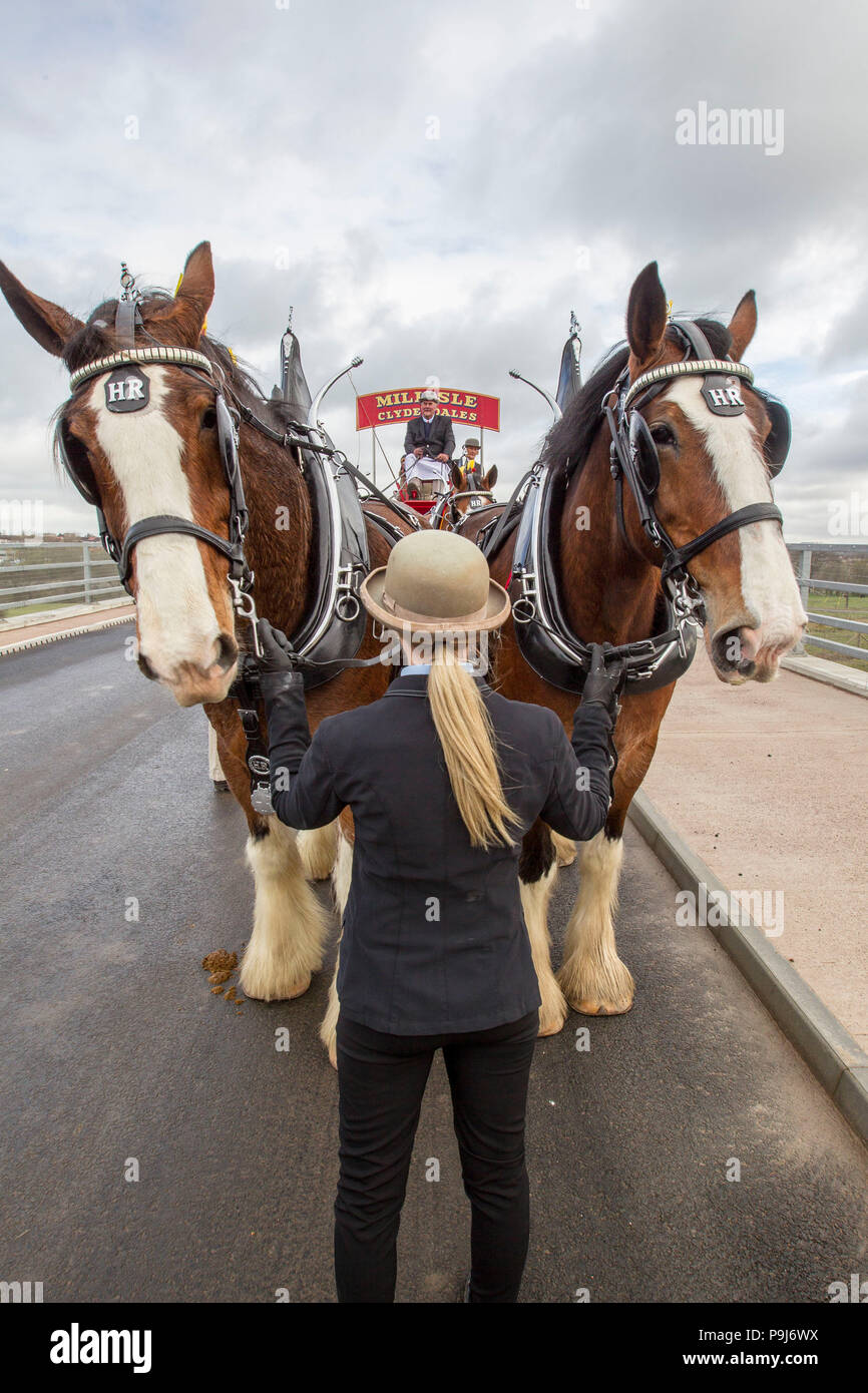 Carro tirando del caballo fotografías e imágenes de alta resolución Alamy