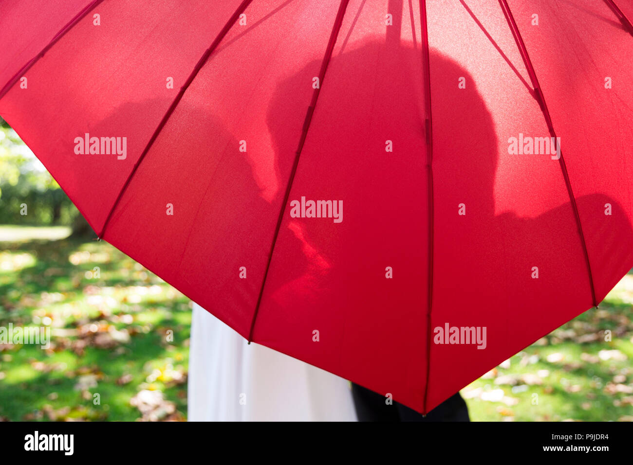 El contorno de la de la pareja nupcial rojo paraguas con forma de corazón Fotografía de stock Alamy
