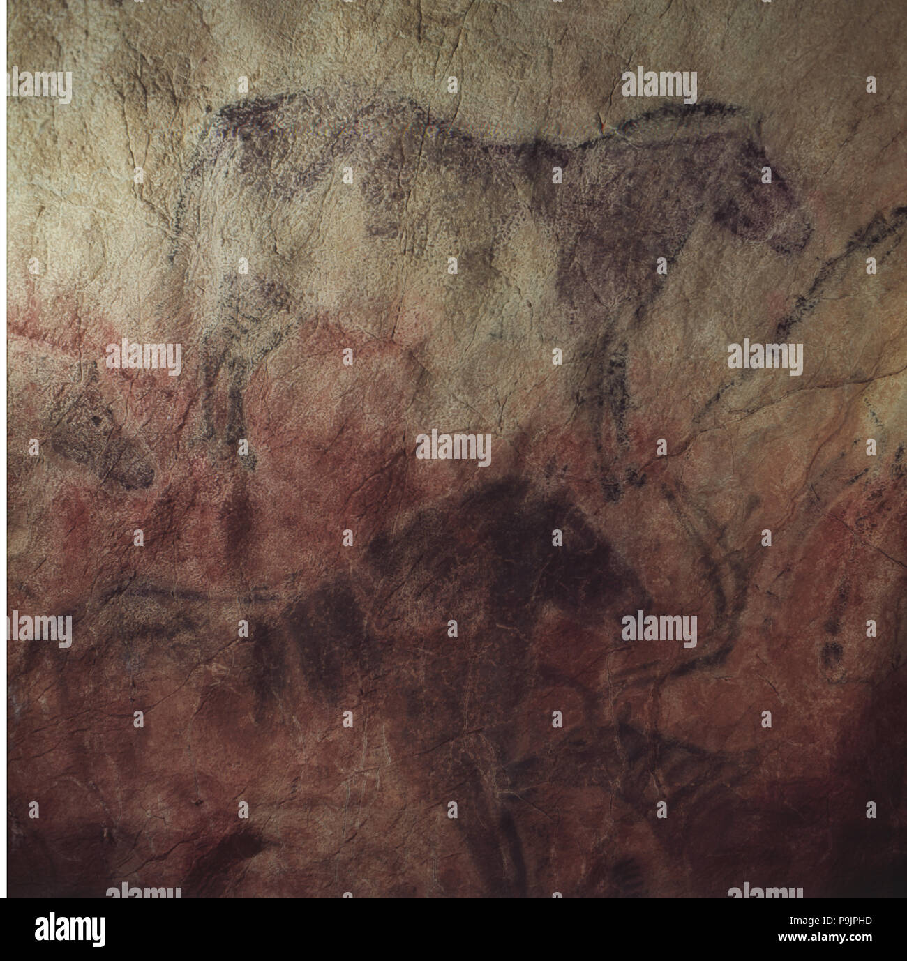 Detalle nº5 del gran panel de la Cueva de Tito Bustillo (Ribadesella): sobre un fondo rojo... Foto de stock