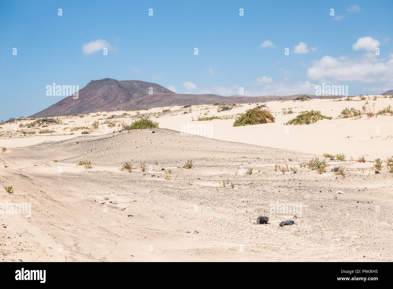 En el Parque Natural de las dunas de Corralejo en Fuerteventura - Islas Canarias - España Foto de stock