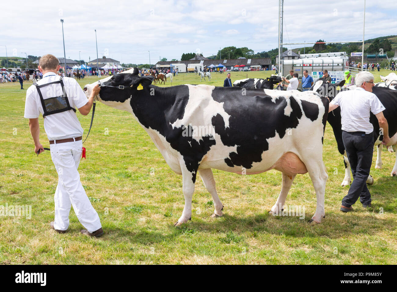 Skibbereen, Irlanda. El 19 de julio, 2018. Otro día veranos brillantes con una brisa refrescante permitió muchas clases de caballos y ganado a disfrutada por todos en la Carbery y Skibbereen show. Crédito: aphperspective/Alamy Live News Foto de stock