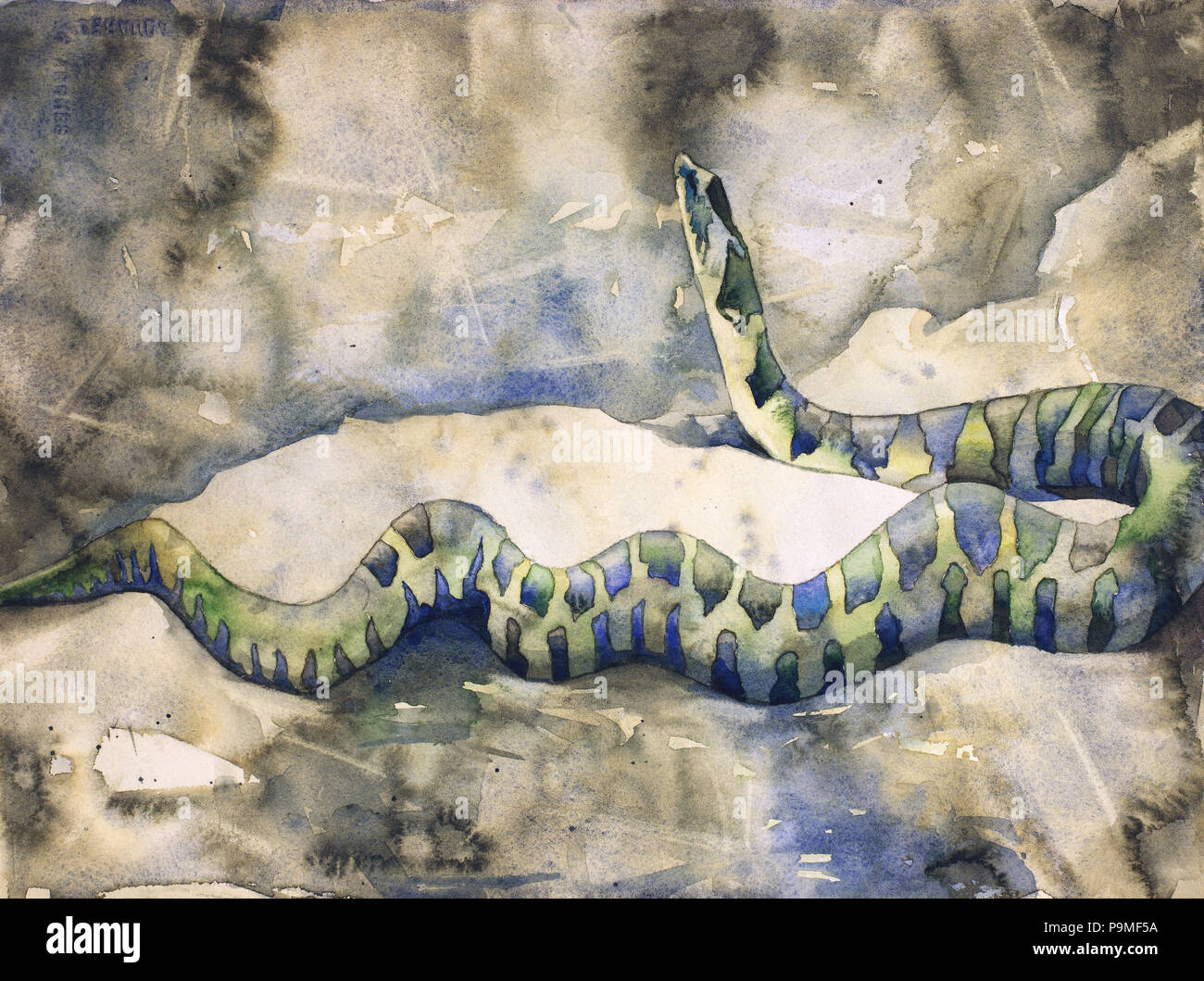 Norte de serpiente de agua colorida pintura acuarela - acuarela giclee  impresiones Fotografía de stock - Alamy