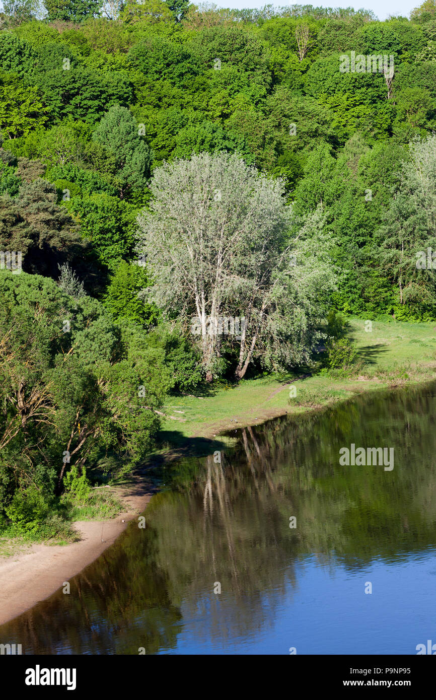 árboles que crecen por encima del agua fotografías e imágenes de alta  resolución - Alamy