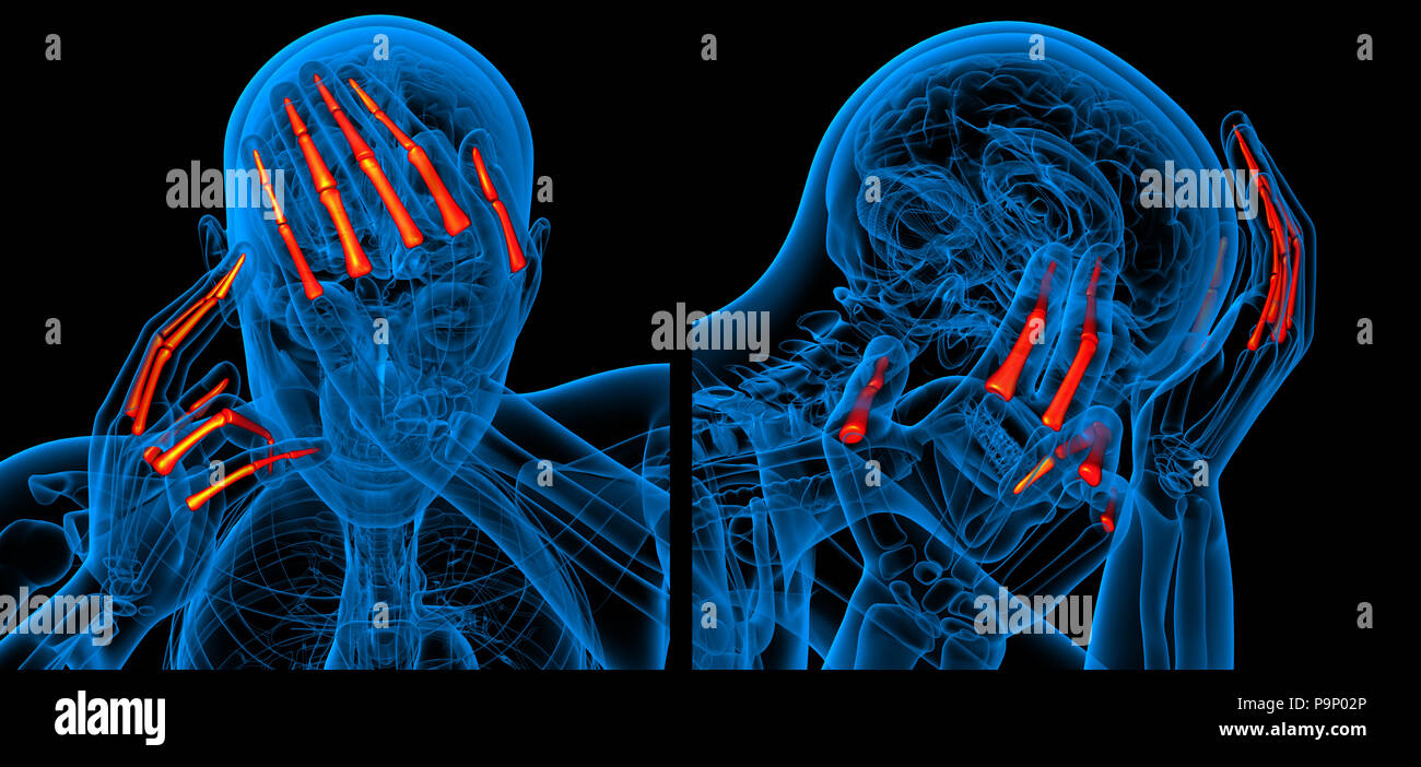 3D rendering ilustración médica del dedo hueso Foto de stock