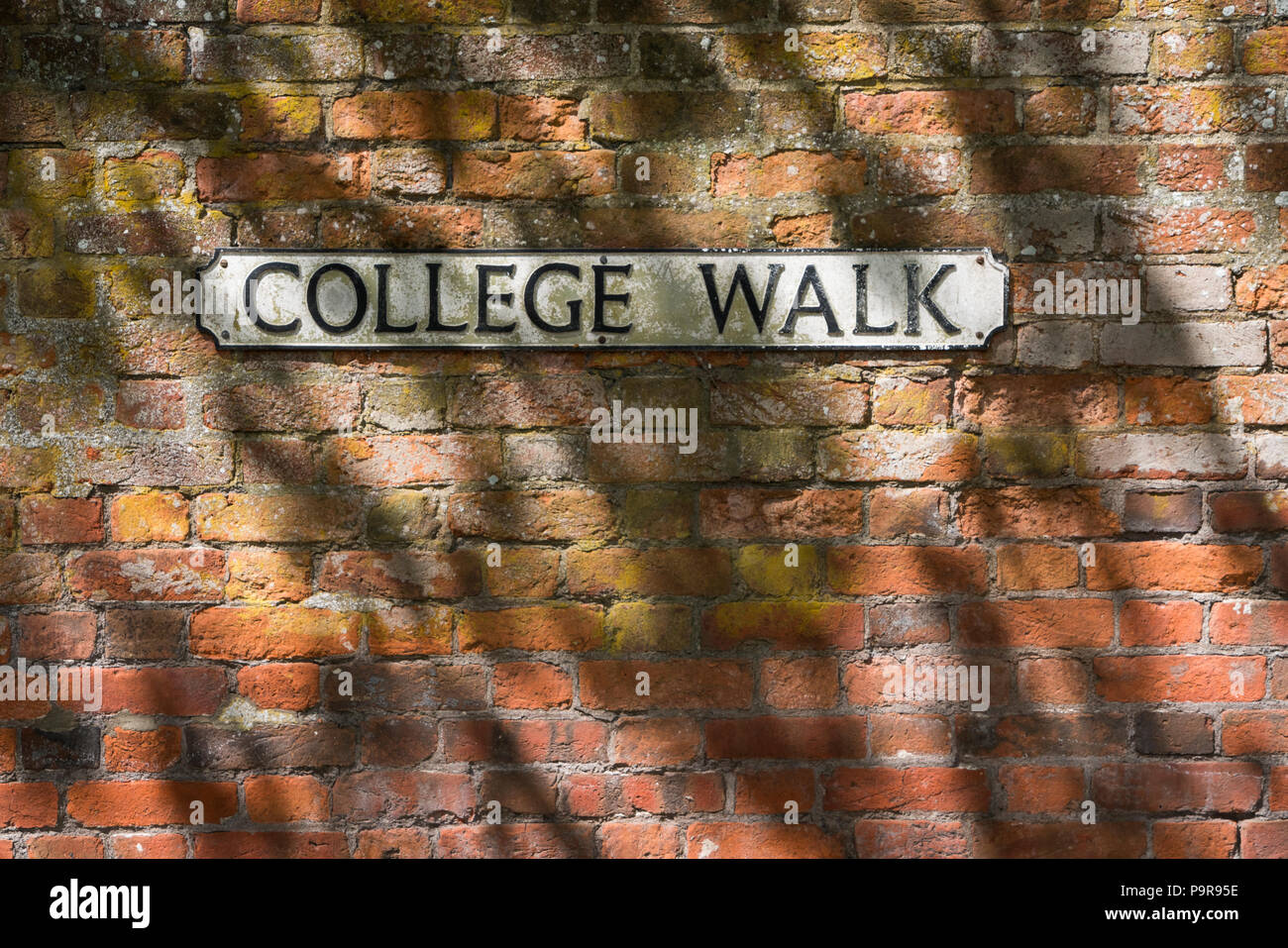 College andando en un cartel con el nombre de la calle blanco en una pared de ladrillo rojo Foto de stock
