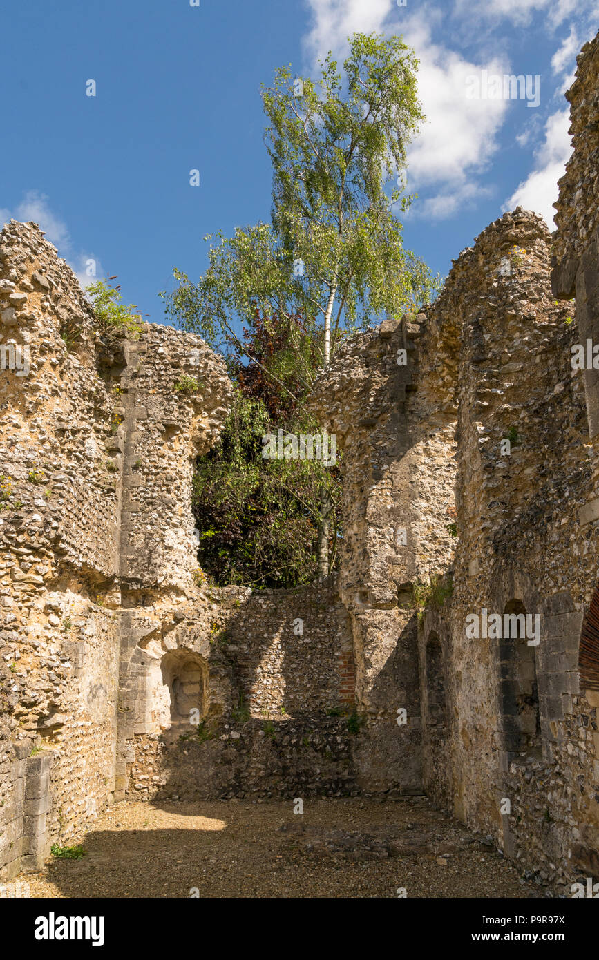 Castillo Wolvesley alias antiguo Palacio de los Obispos de Winchester, Hampshire, Inglaterra - Los restos de un palacio del siglo 12, una residencia de los obispos de Foto de stock