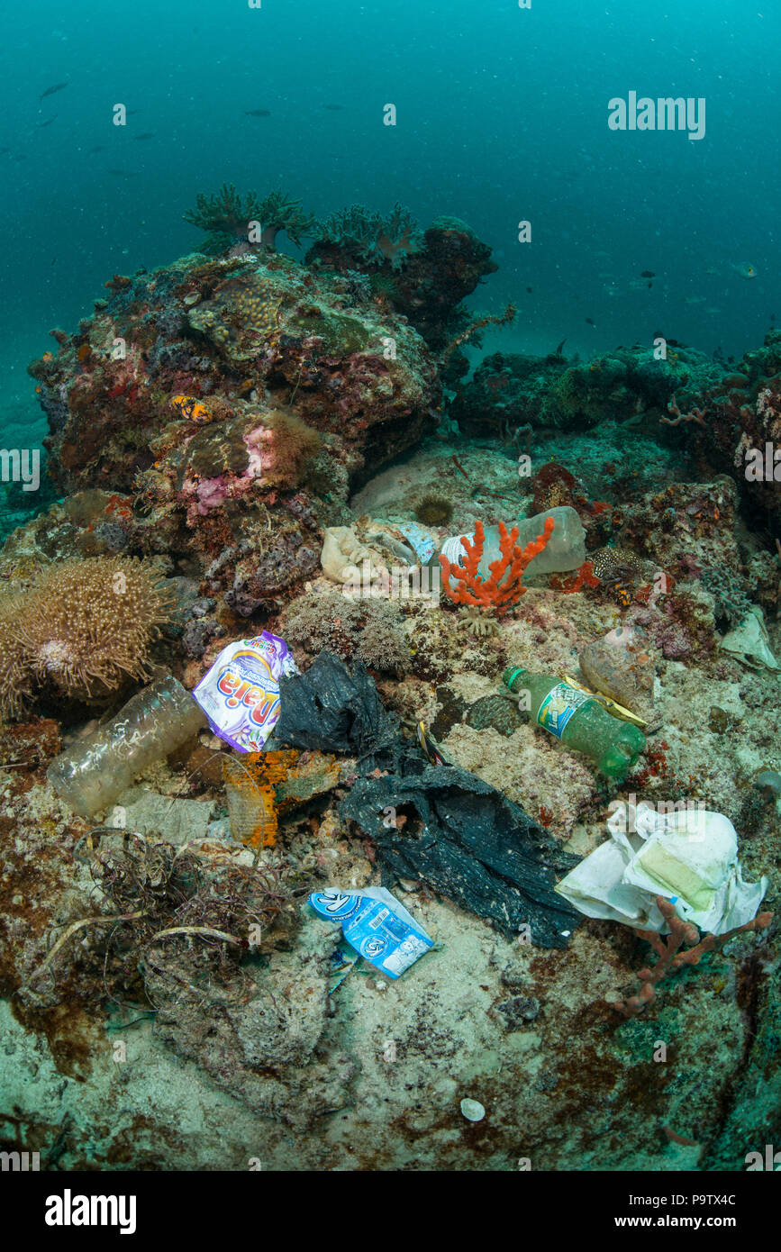 Fotografía submarina de contaminación de basura de plástico en los fondos marinos en un arrecife de coral en la isla de Mabul, Sabah, Malasia. Foto de stock