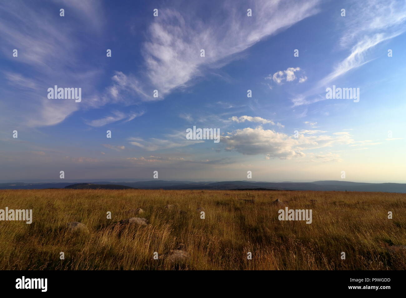 Monte Brocken, cumbre paisaje panorama, cordillera de Harz, en el Estado federado de Sajonia-Anhalt, Alemania Foto de stock