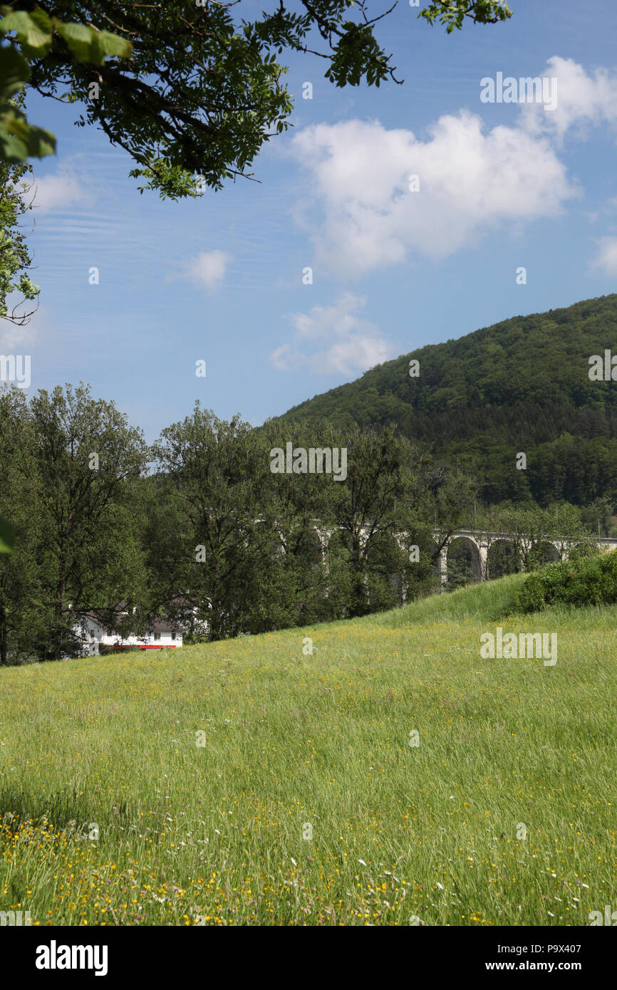 El puente del ferrocarril en San Ursanne, Jura, Franches Montagnes, Suiza. Foto de stock