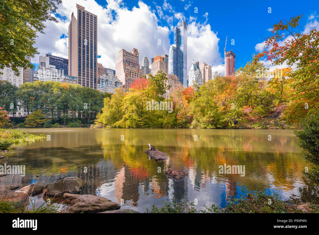 Nueva York, Nueva York, EE.UU., desde el paisaje urbano al sur del parque Central Park en otoño. Foto de stock