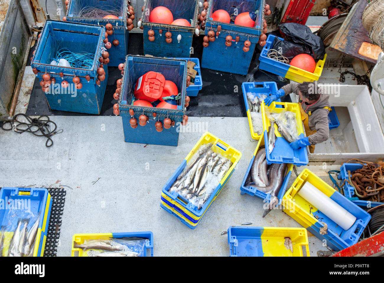 El puerto pesquero de Keroman uno de los mayores puertos pesqueros en Francia, este puerto está listo para todos los tipos de pesca todo el año. Lorient, Keroman, la base de submarinos, Bretaña, Francia. Foto de stock