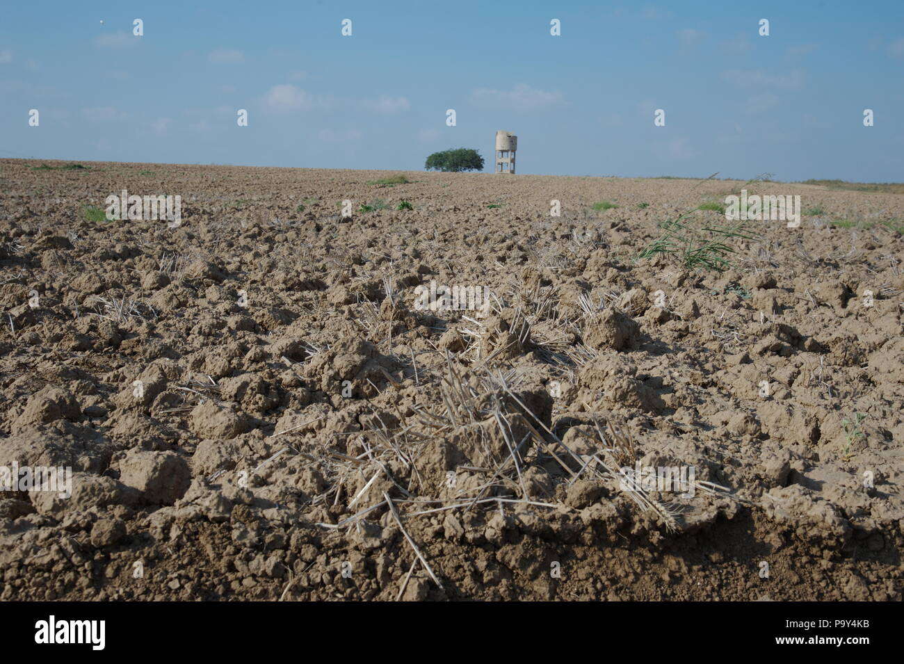 Área agrícola, sur de Israel. Foto de stock