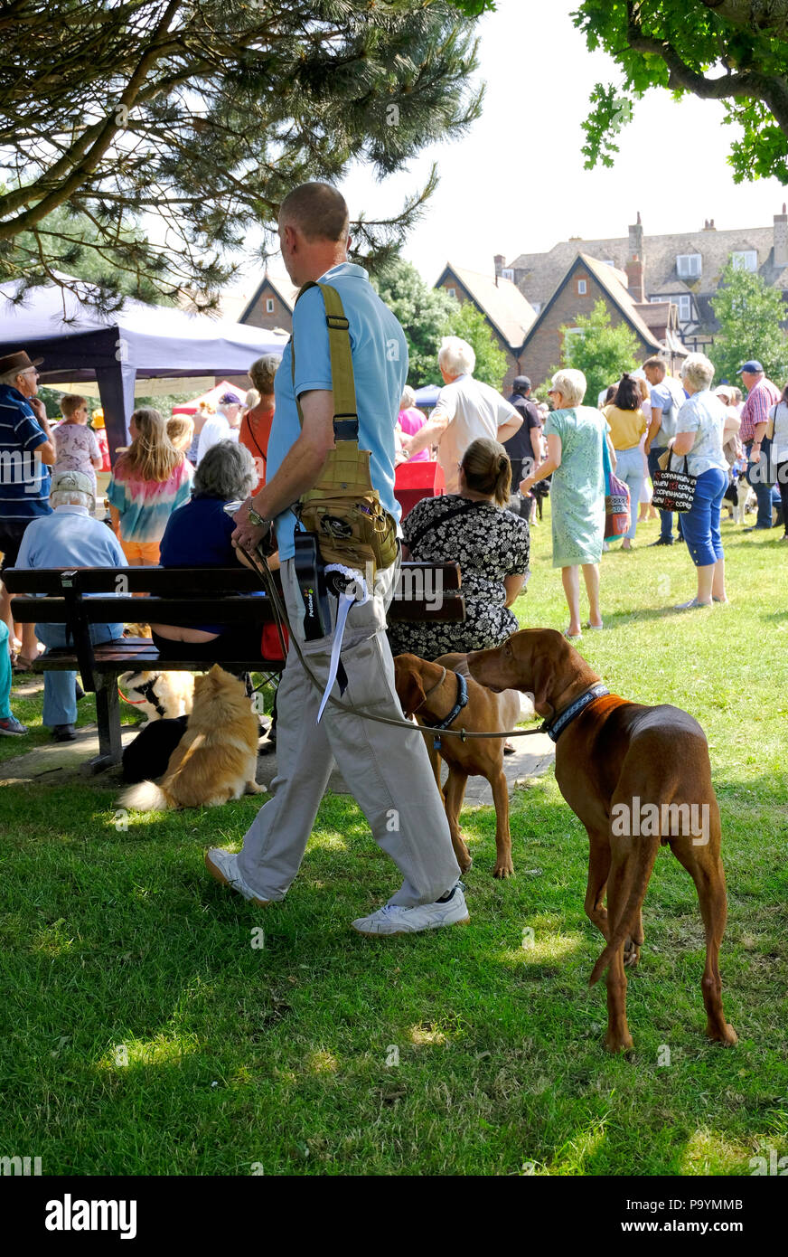 East Preston, West Sussex, Reino Unido. Diversión dog show celebrado en el village green Foto de stock