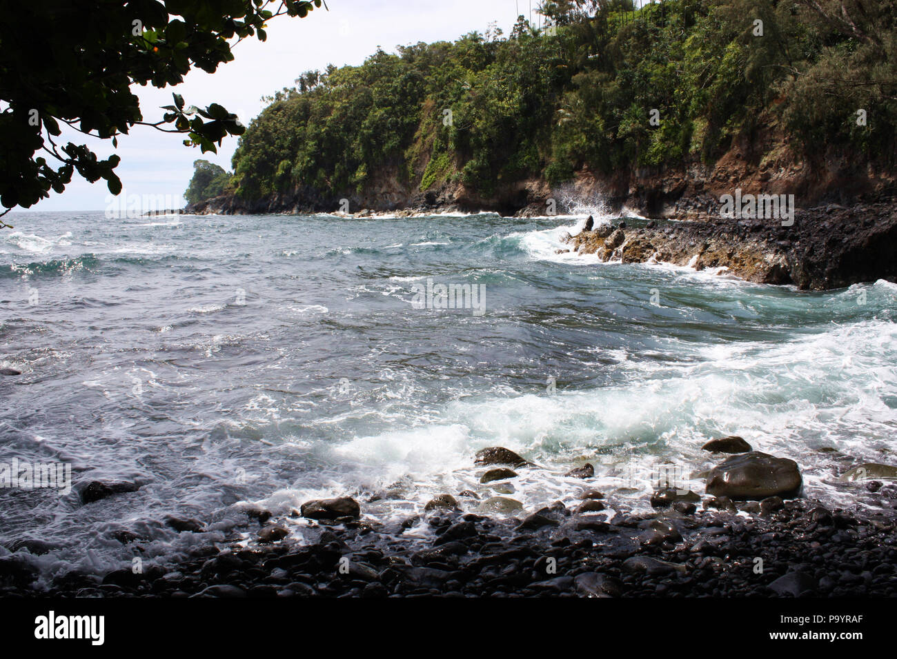 Negro, rocas lisas en la parte inferior del burro Trail reunión el Océano Pacífico en la Bahía Onomea en Papaikou, Hawai Foto de stock