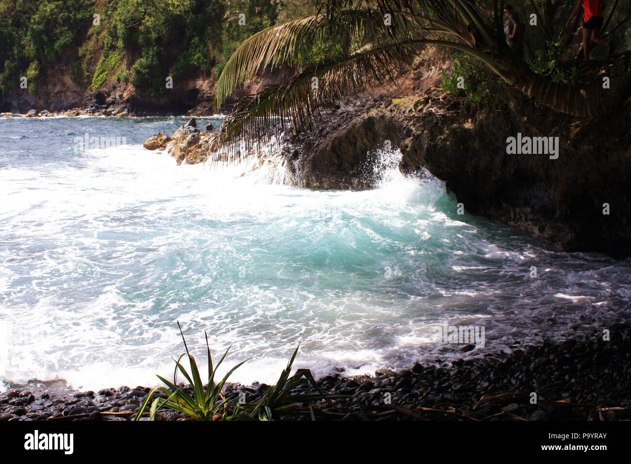 Negro, rocas lisas en la parte inferior del burro Trail reunión el Océano Pacífico en la Bahía Onomea en Papaikou, Hawai Foto de stock