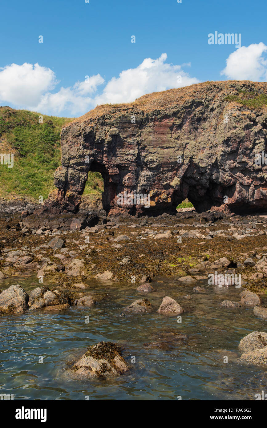 Elephant Rock, al norte de la Bahía de Lunan, cerca de Montrose, Angus, Escocia. Foto de stock
