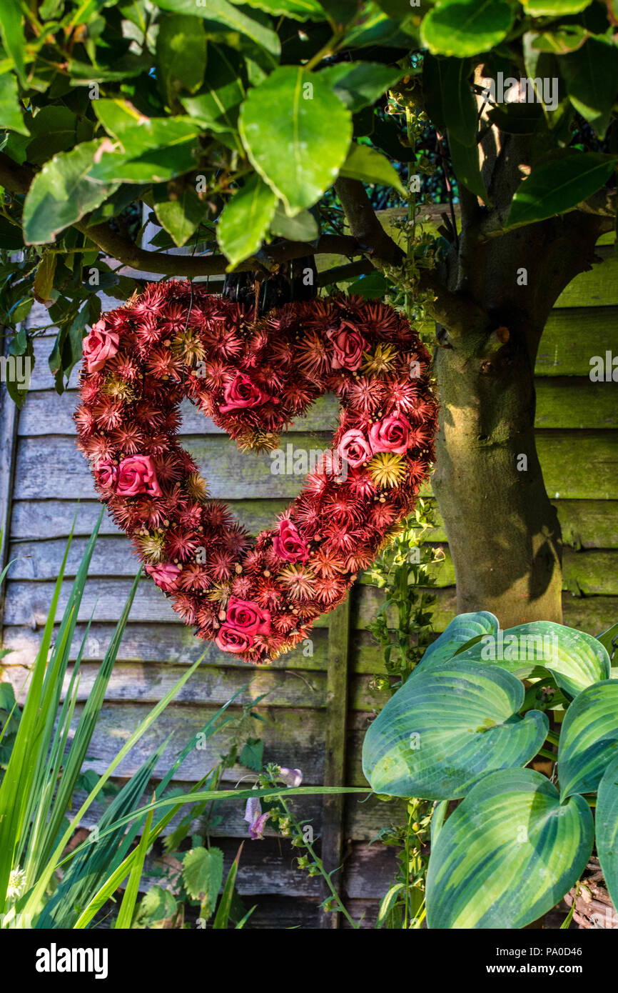 Características jardín rústicas de color rojo en forma de corazón arreglos florales secos colgando de un árbol con una bahía Hosta y Crocosmia para completar la composición Foto de stock