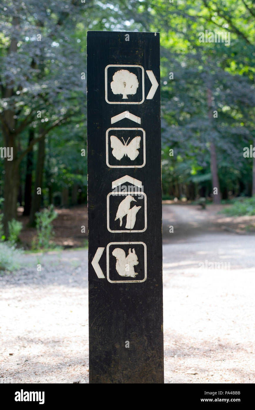 Información y guía signpost en Thorndon Park, Brentwood, Essex, Inglaterra, Reino Unido. Foto de stock