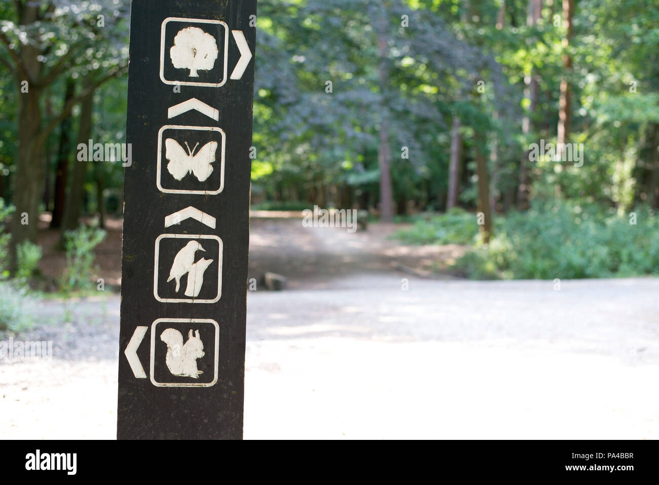 Información y guía signpost en Thorndon Park, Brentwood, Essex, Inglaterra, Reino Unido. Foto de stock
