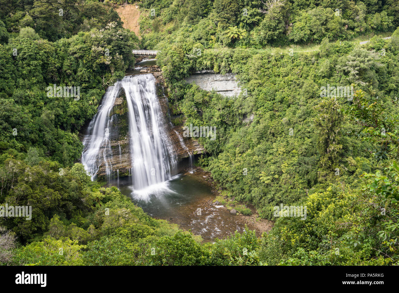 Mokau Falls, Rainforest cascada, Te Urewera National Park, North Island, Nueva Zelanda Foto de stock