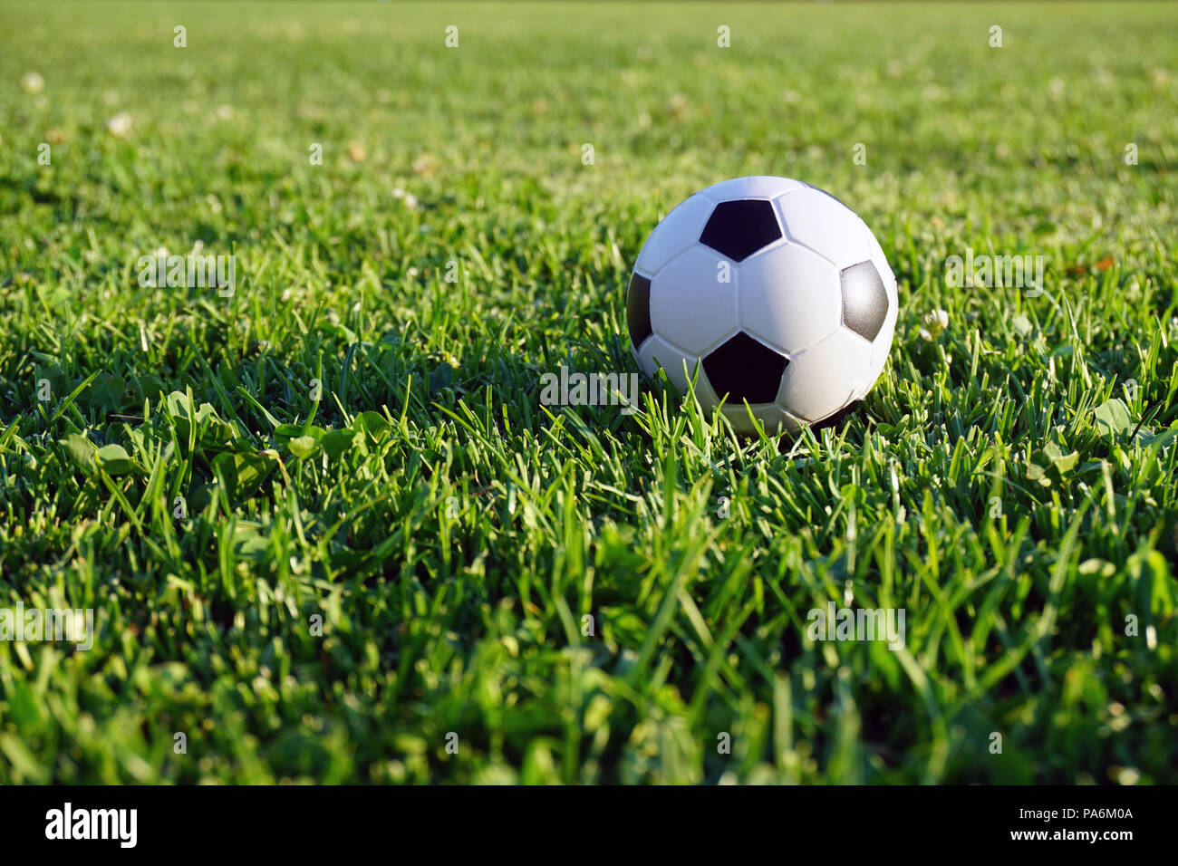 Mini fútbol en pasto verde Foto de stock