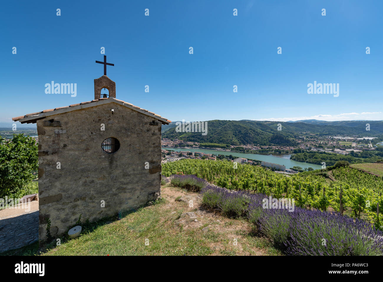 Ermita viñedos en Tain l'Hermitage, Valle del Ródano, Francia Foto de stock