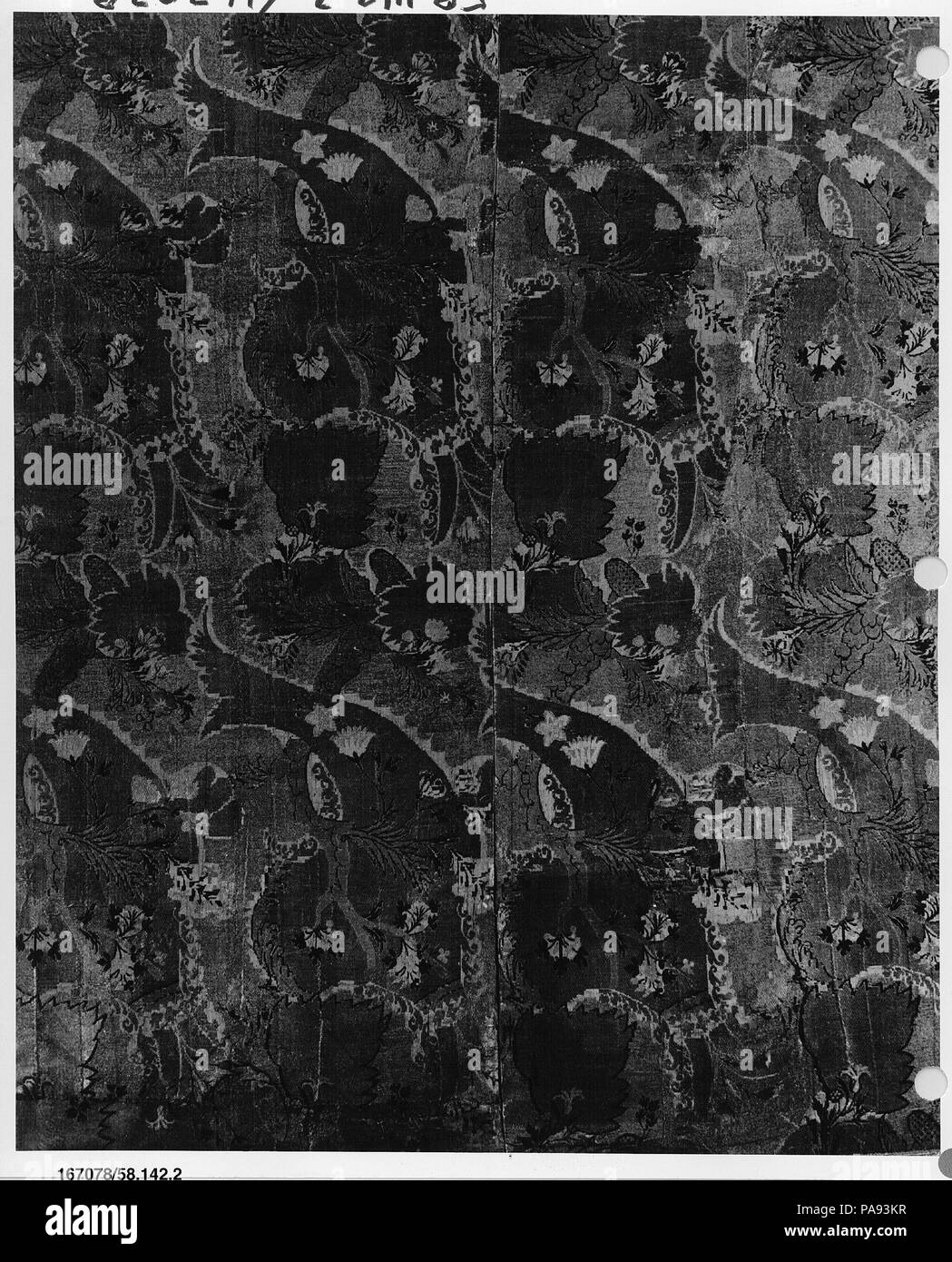 Mono de seda Imágenes de stock en blanco y negro - Alamy