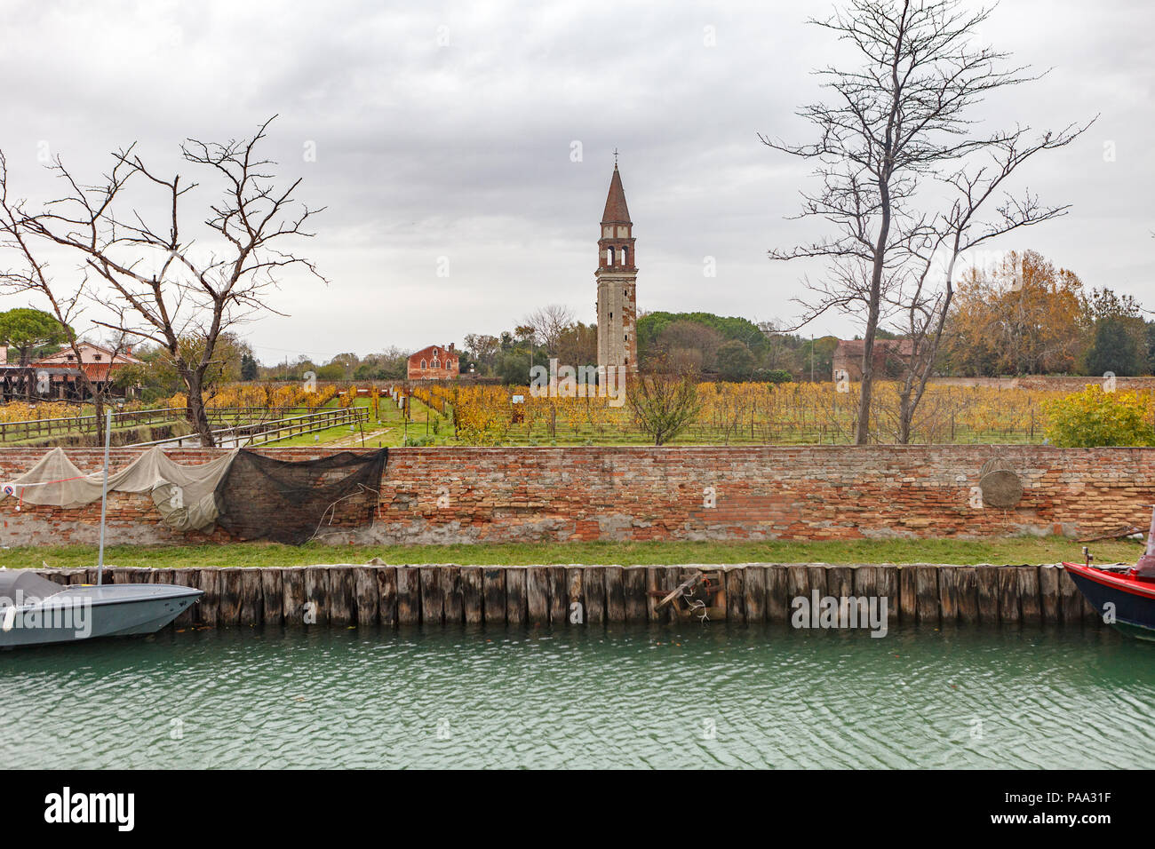 Isla Mazzorbo .. La viña y el campanario. Venecia, Italia Foto de stock