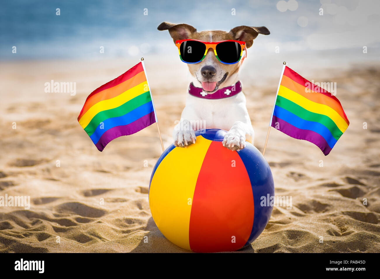 Gay dog fotografías e imágenes de alta resolución - Alamy