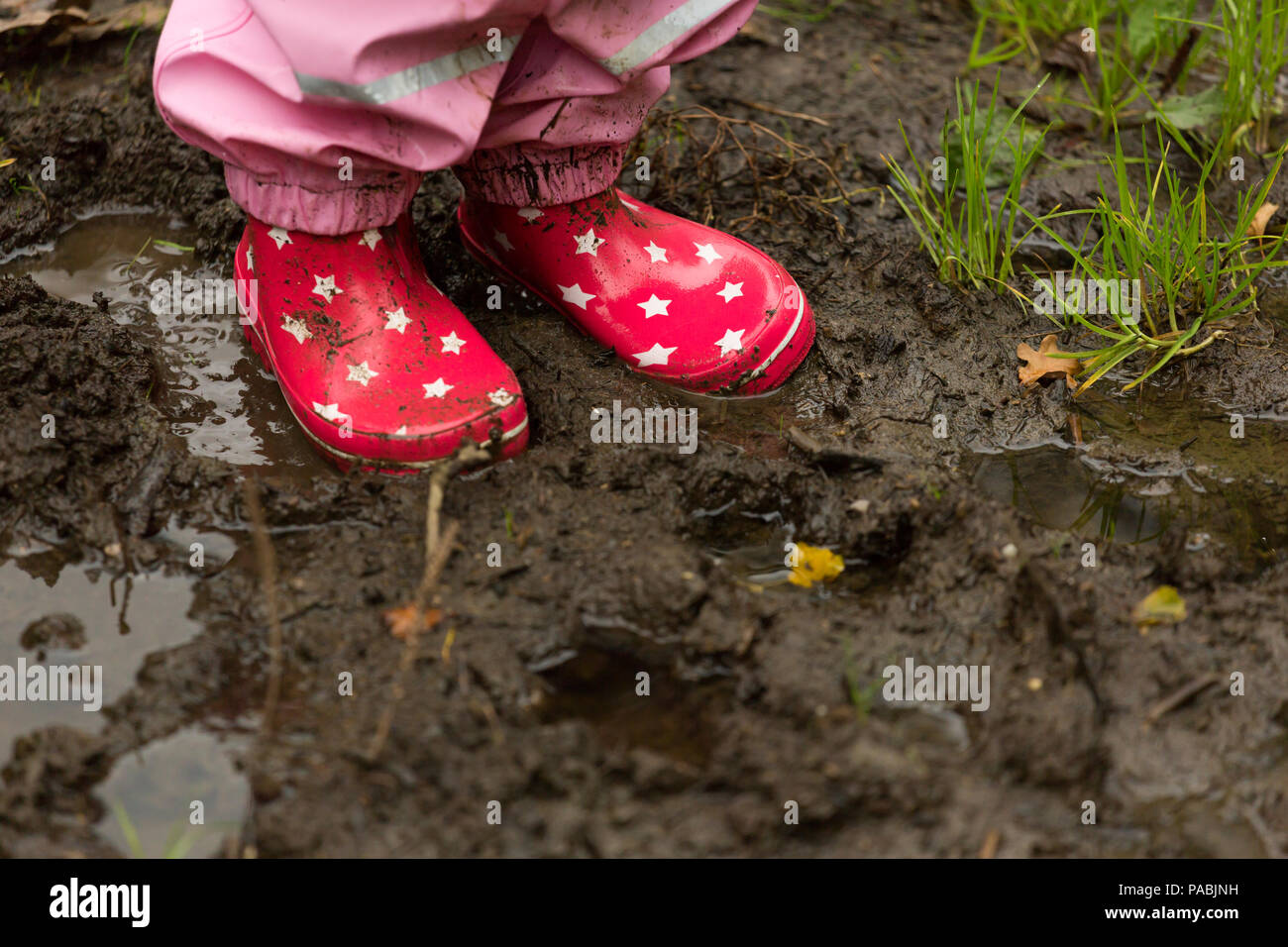 Una Mujer Joven Que Lleva Calcetines Rojos Y Botas De Invierno Están  Caminando En El Páramo En La Niebla Cerca De Algunas Vacas Fotos, retratos,  imágenes y fotografía de archivo libres de
