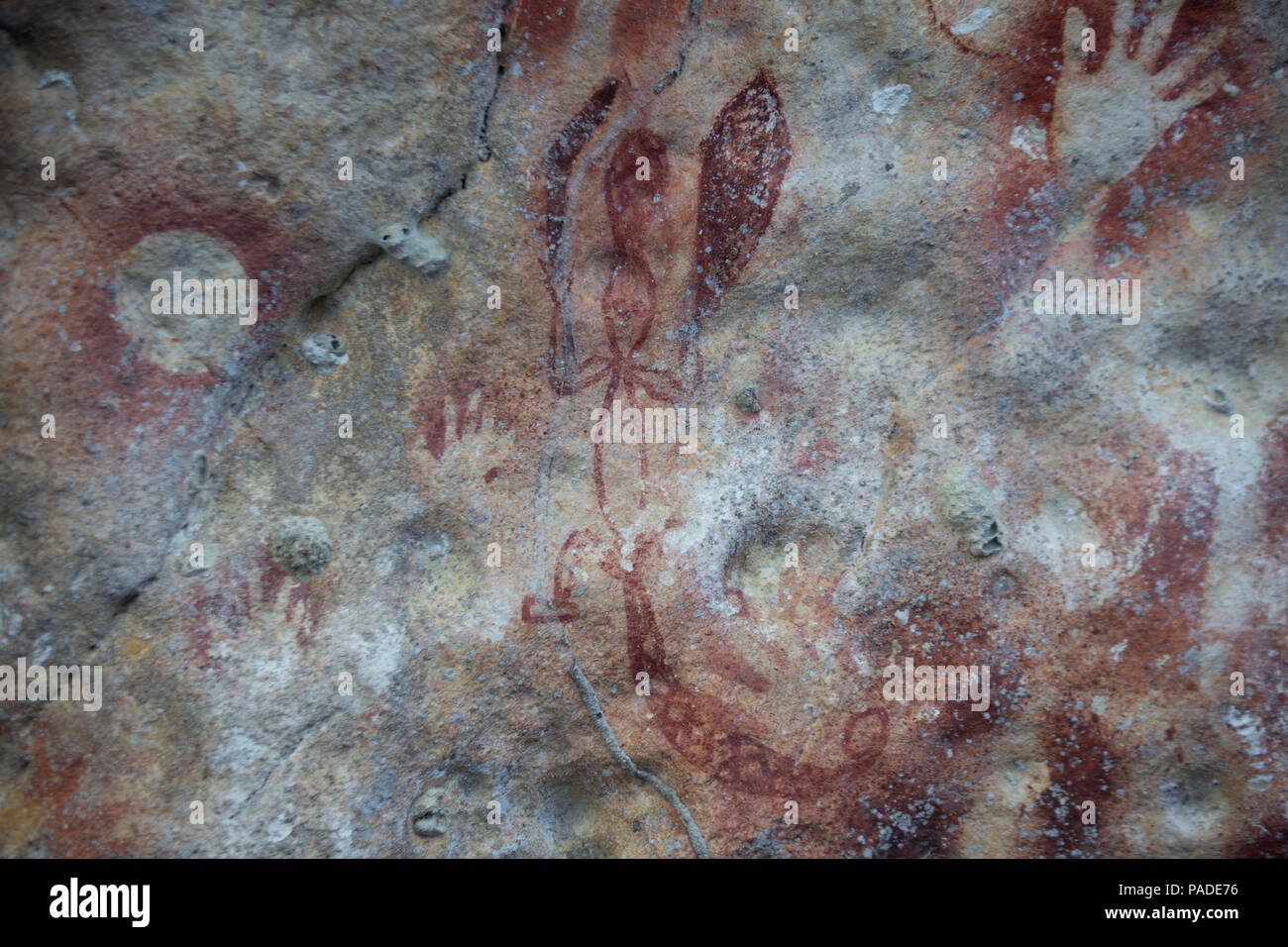 Los dibujos rupestres en Dwars In Den Weg, Indonesia Foto de stock