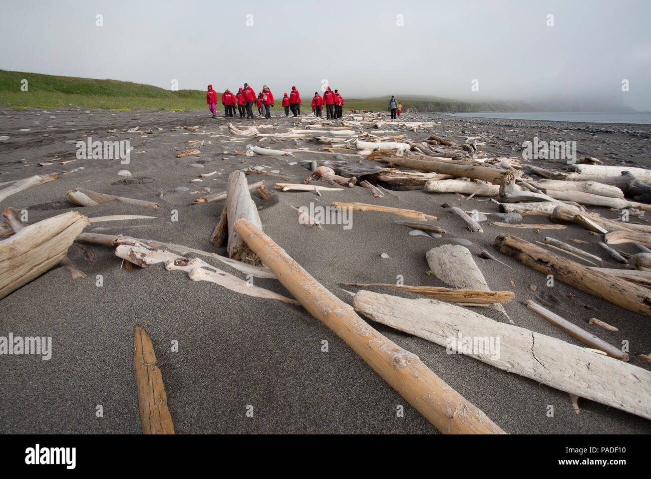 Los turistas explorar la isla San Mateo, Alaska Foto de stock