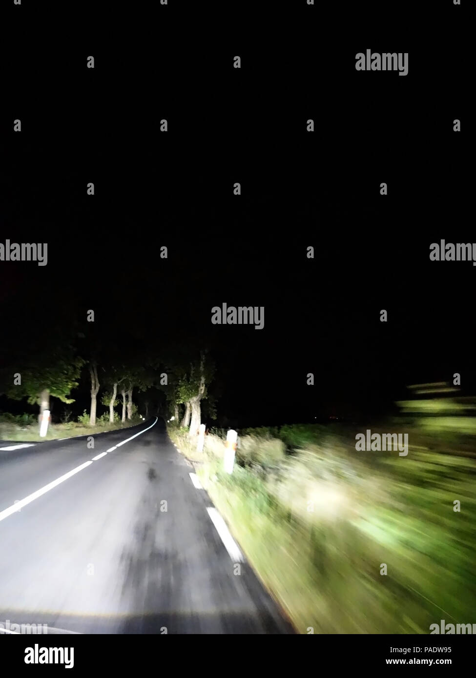 La conducción del automóvil por la noche en una carretera oscura, conducción nocturno rápidamente en el lado derecho de la carretera a través de avenidas de Árboles Foto de stock