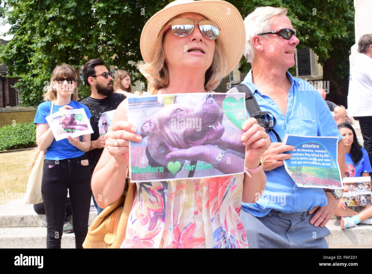 Protesta anti BSL en Westminster, Londres Foto de stock