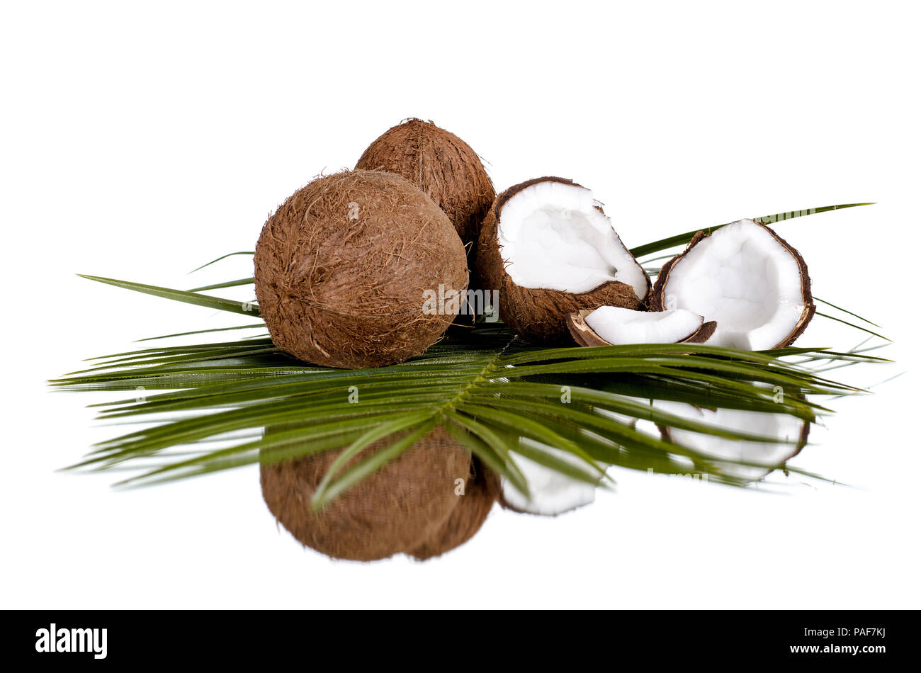 Still life de coco tuerca agrietada con la rama de olivo, aislado sobre fondo blanco. Foto de stock