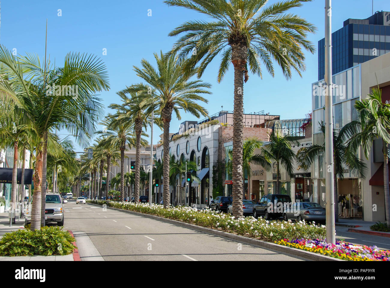 Amplio ángulo de visión de tiendas de diseñadores y palmeras en Rodeo Drive, Beverly Hills, Los Ángeles Foto de stock