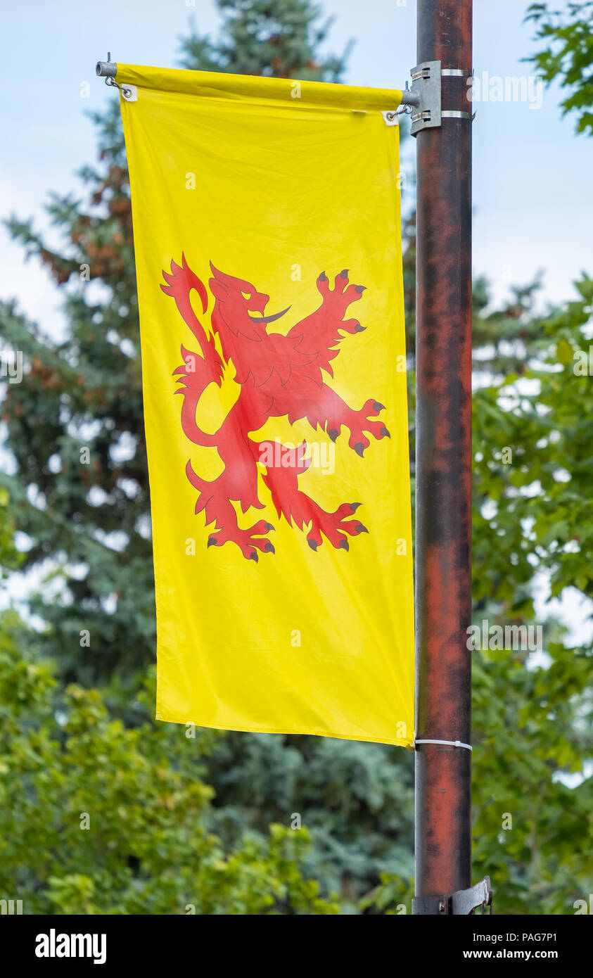 El león rampante o el estandarte real de Escocia es la segunda bandera no  oficial de Escocia Fotografía de stock - Alamy