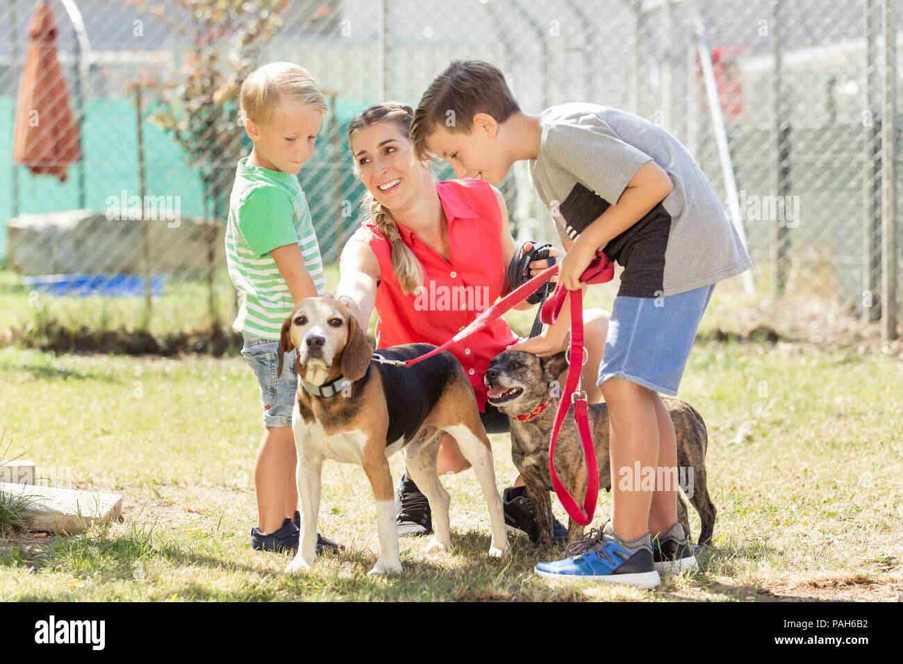 Mamá con sus hijos paseando a perros de un refugio de animales Foto de stock