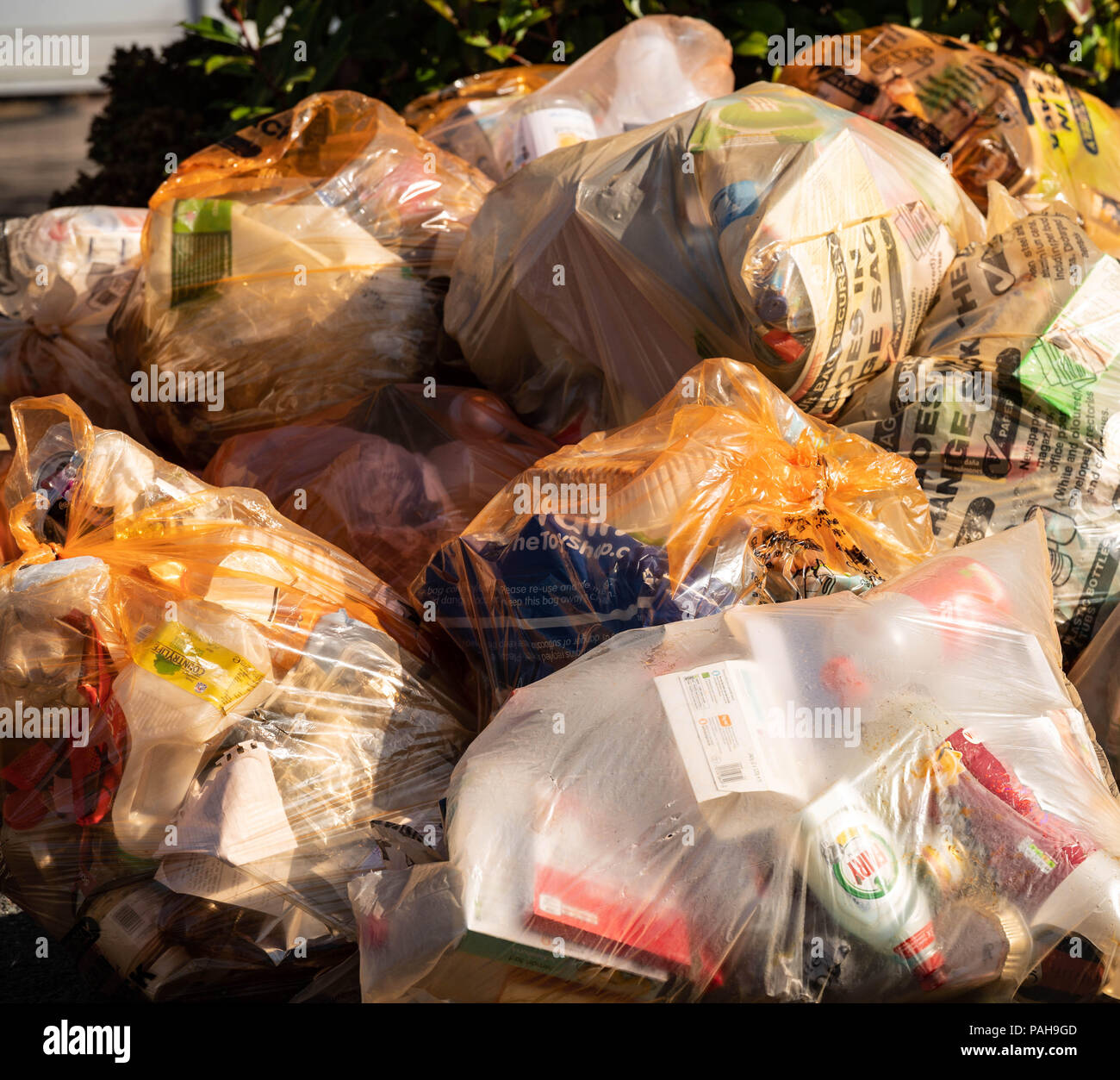 La acumulación de bolsas de basura, reciclaje, sacos, bolsas de color  amarillo, listo para ser recogido, Kiel-oppendorf, Schleswig-Holstein,  Alemania Fotografía de stock - Alamy