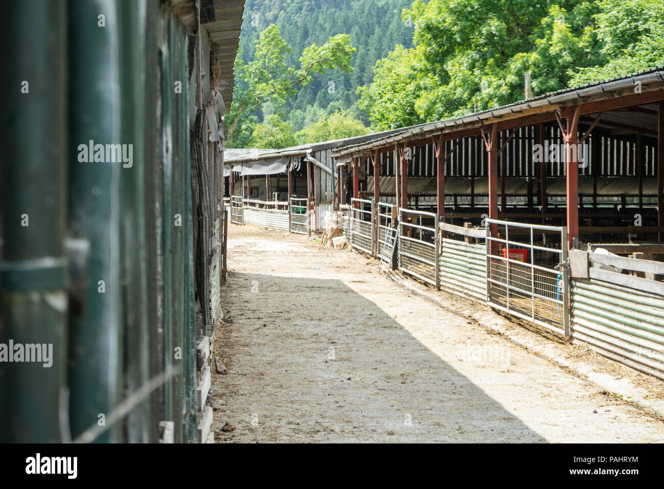 Farm Yard shot con abrir el ganado ovino / galpones / caballerizas, con vallas y la ruta Foto de stock