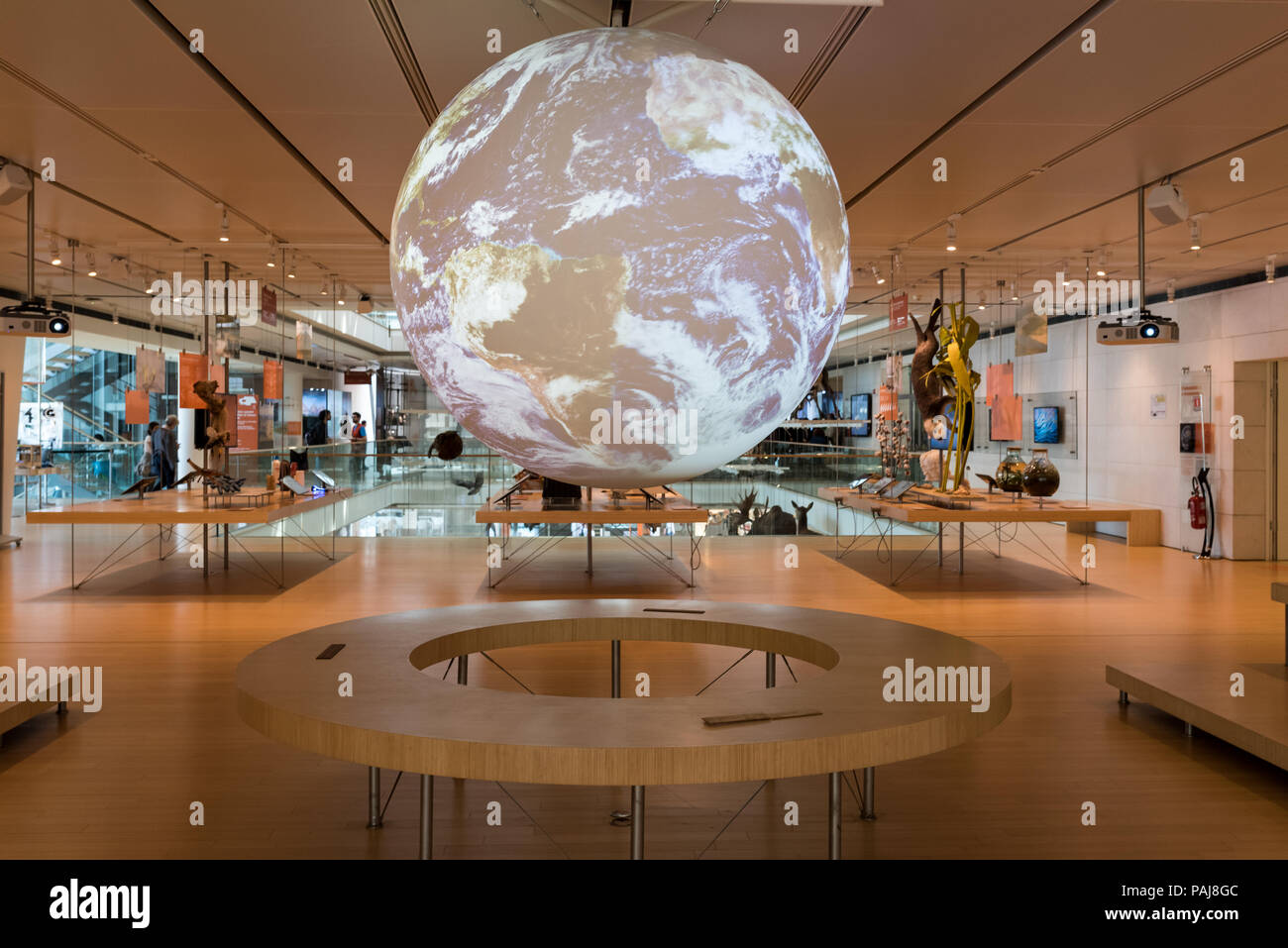 Los espacios de exposición del Museo de las ciencias de Trento en Trentino Alto Adige: la gran esfera de interacción de la Administración Nacional Oceánica y Atmosférica Foto de stock