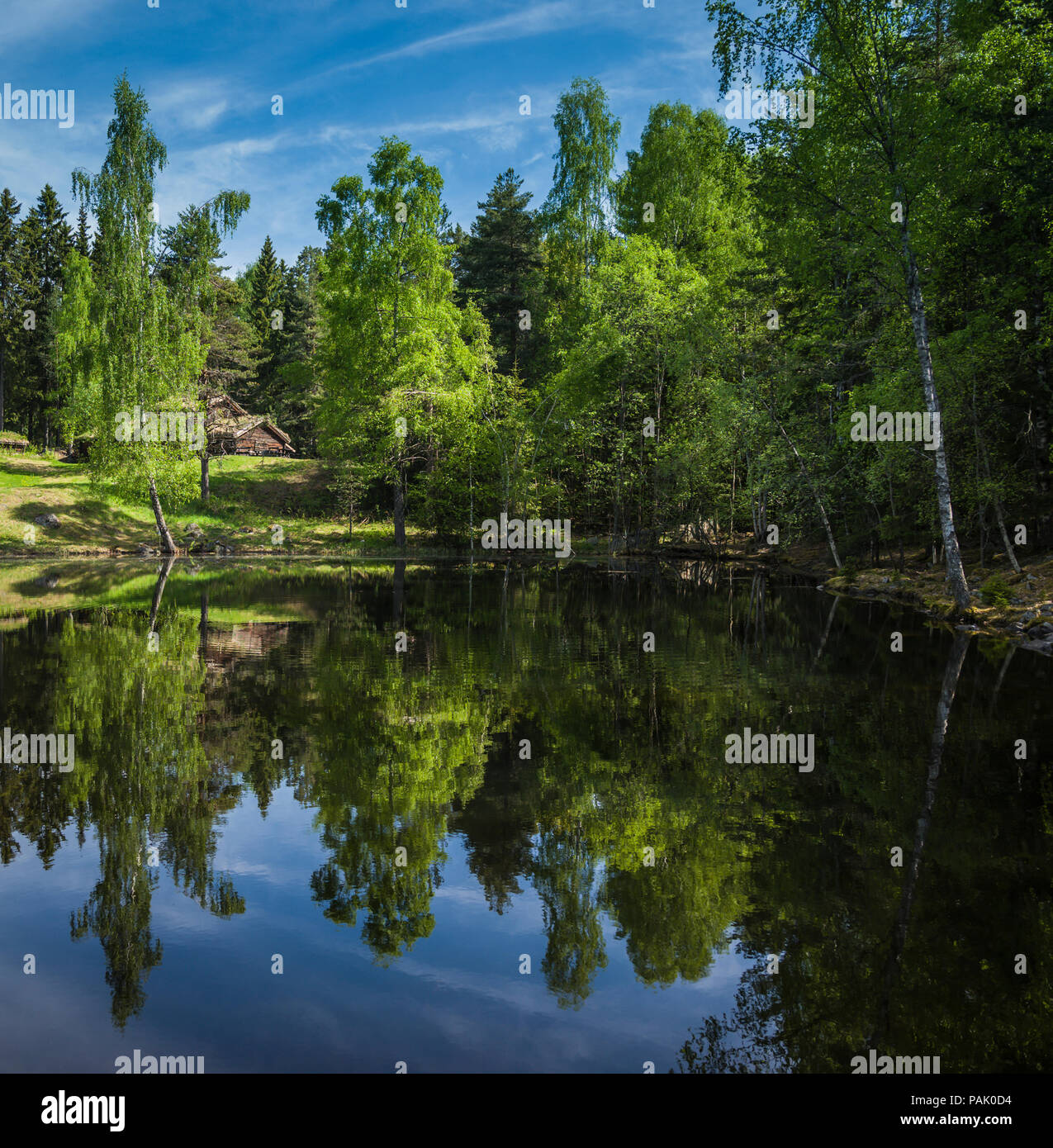 Típico paisaje noruego en Lillehammer, Noruega. Foto de stock