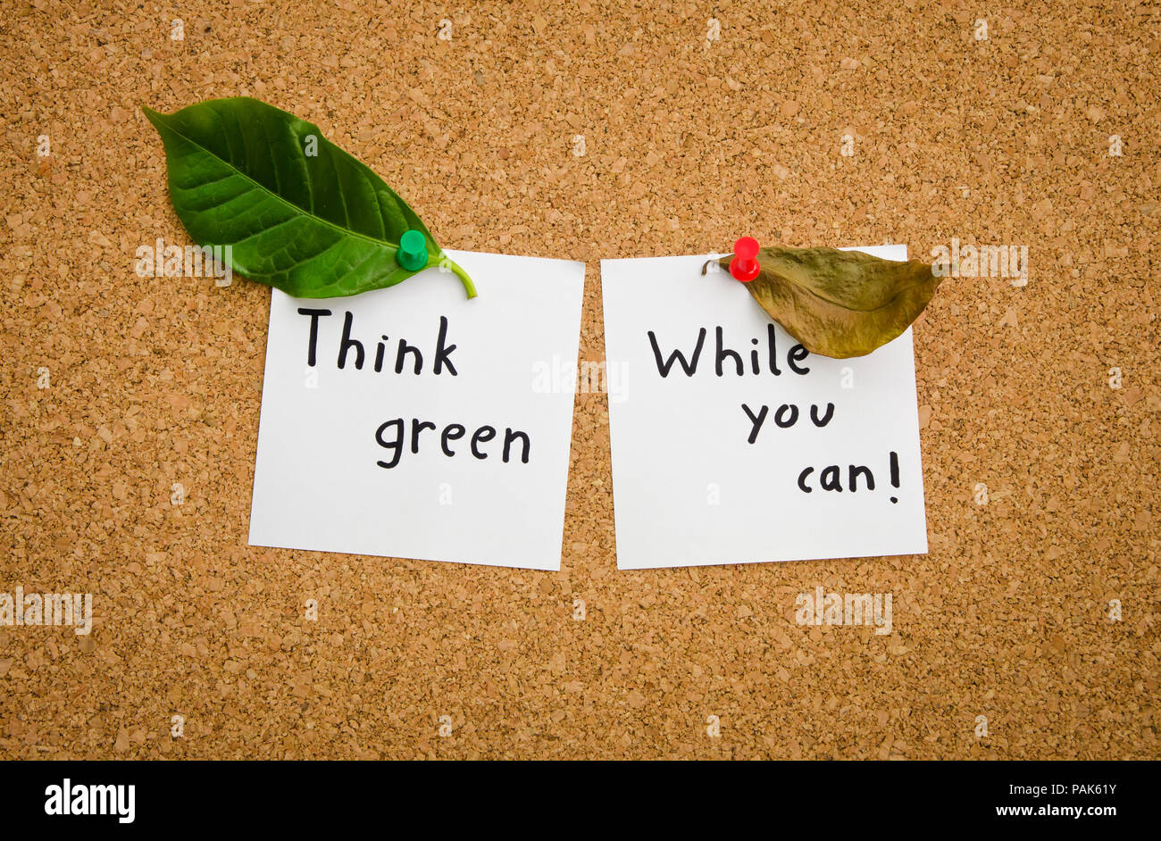 Piensa en verde mientras puede sugerir el movimiento ambiental verde ecologista y un mensaje importante para la ecología por doquier con un secado una hoja Foto de stock