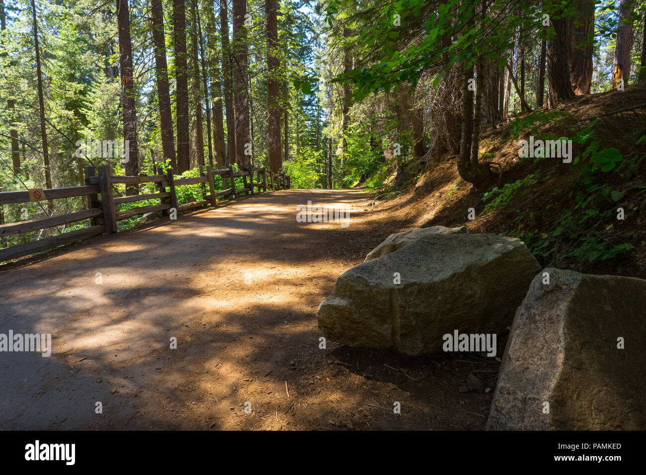 Grandes piedras decoran el lado de viejo Big Oak Flat Road, el paseo a la Tuolumne Grove de Secoyas Gigantes - Parque Nacional Yosemite Foto de stock