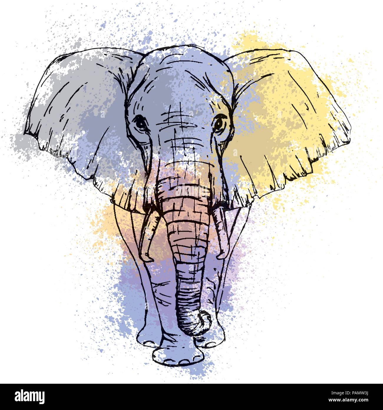 Bosquejo de lápiz vista frontal del elefante africano contra el telón de  fondo de las manchas de acuarela Imagen Vector de stock - Alamy