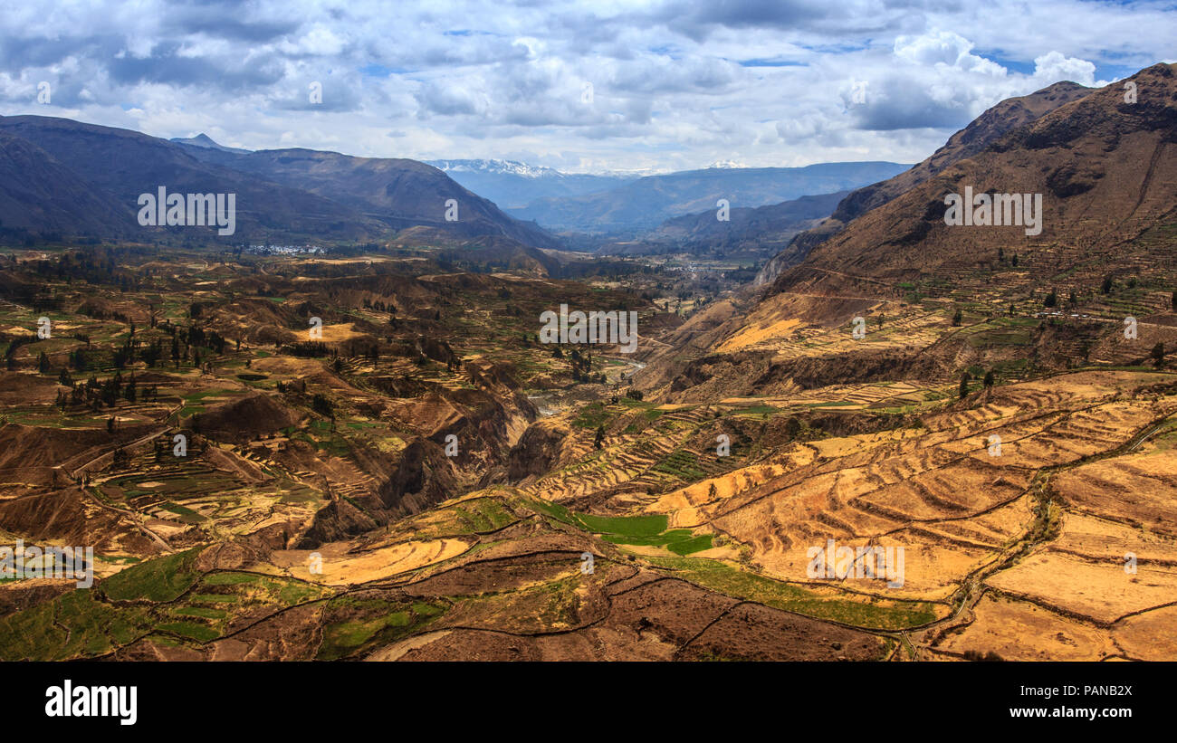 Las terrazas agrícolas en el valle del Colca Foto de stock