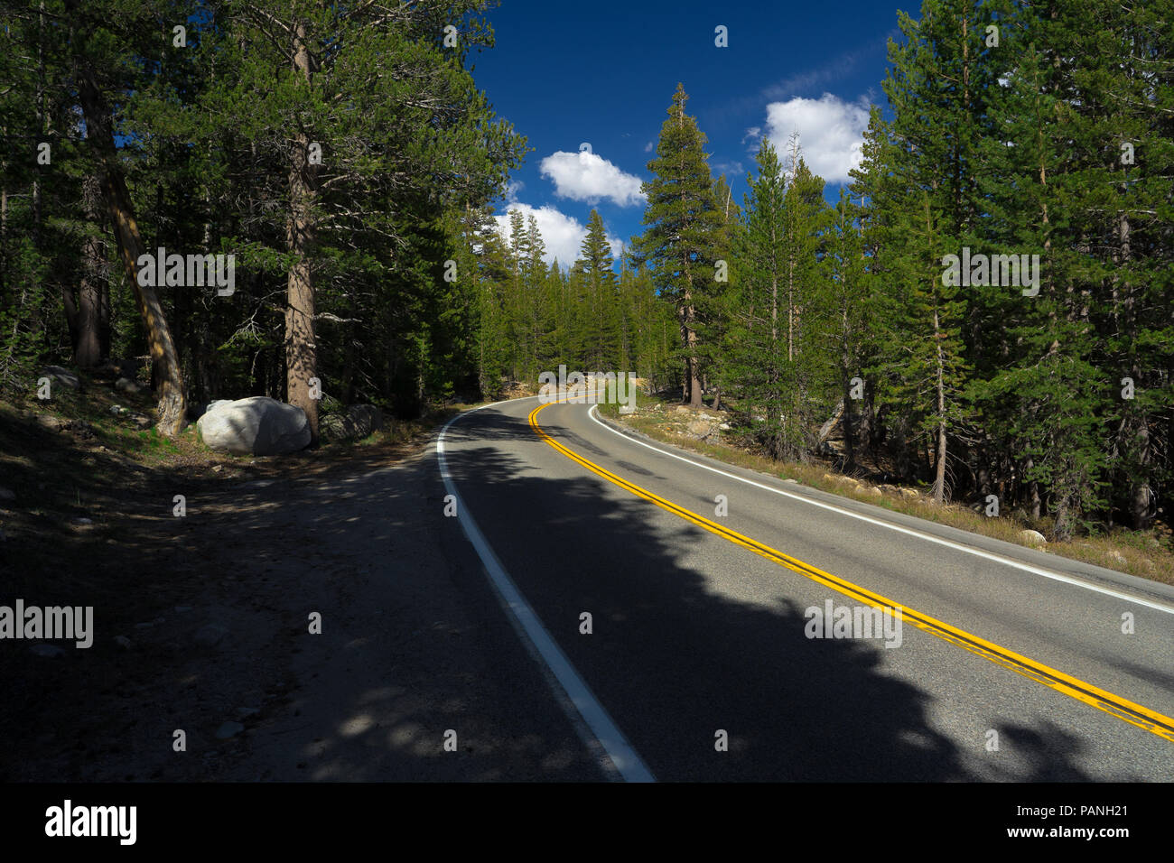 Curva ciega en el bosque en la autopista 120, conocido como Tioga Pass - Parque Nacional Yosemite Foto de stock