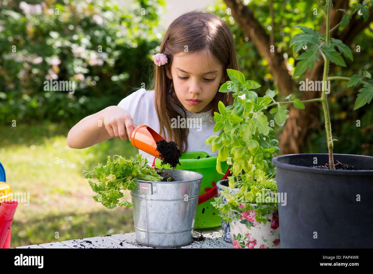 Retrato de niña macetas de perejil sobre la mesa en el jardín Foto de stock