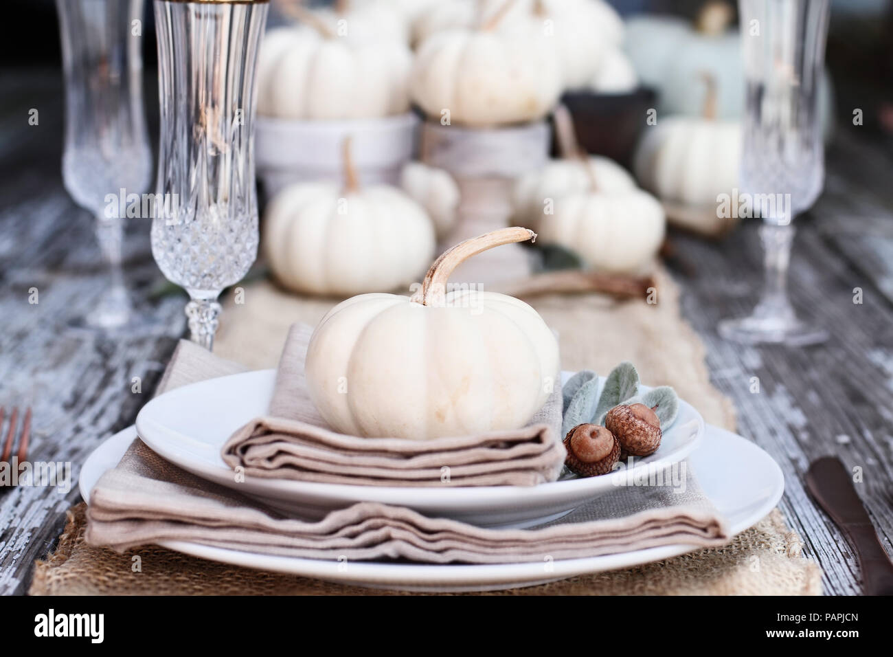 Lugar en una masía rústica país tabla con mini blanco calabazas, y vasos de cristal para el Día de Acción de Gracias o Halloween. Foto de stock